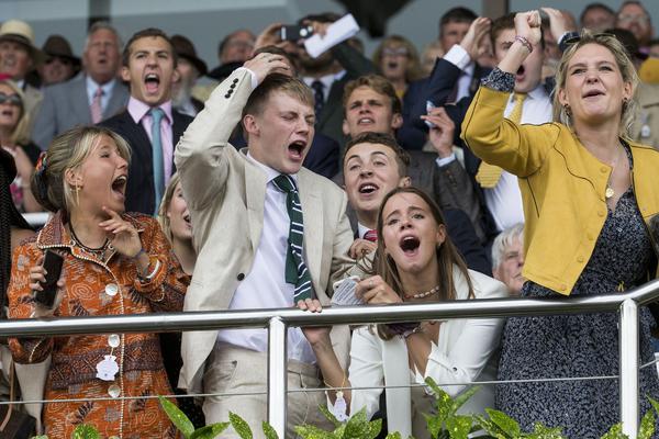 丹特-乐鱼app(leyu)官方网站-乐鱼官网