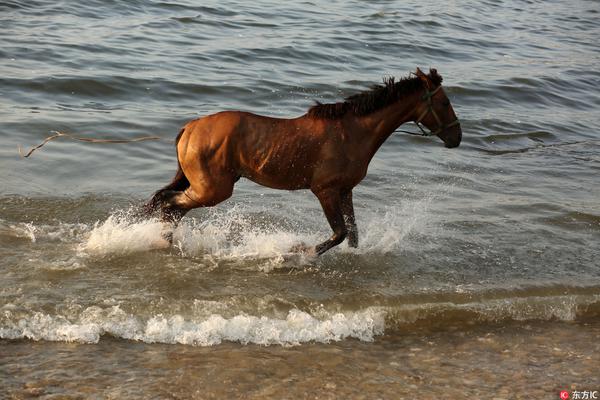 巴萨vs马德里竞技