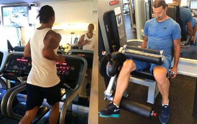 伊布的身体恢复速度十分惊人