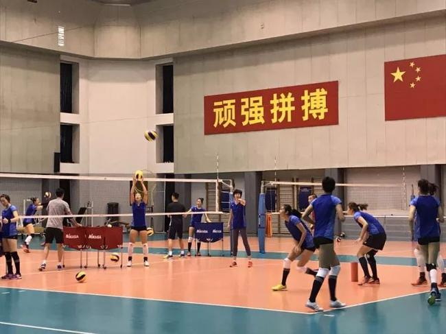 女排新队员2019 JH8L-fymkwyr9730052.jpg