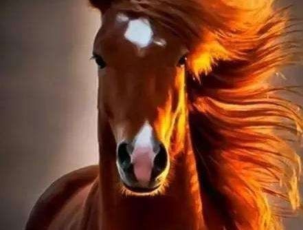 武侠世界名马济济 第一名你一定认识