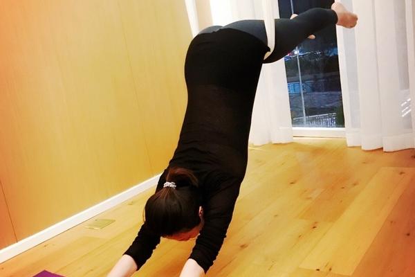 全明星2010-乐鱼app(leyu)官方网站-乐鱼官网