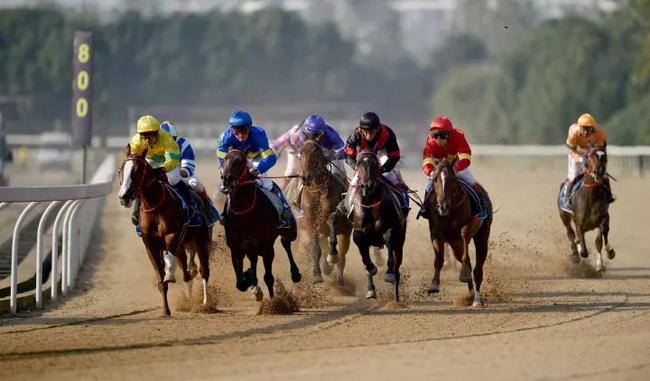 玉龙马业联合东方马城 赛马之都上演中国最专