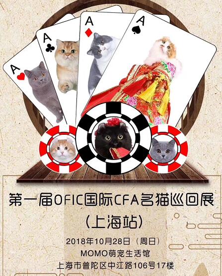 活动海报截图