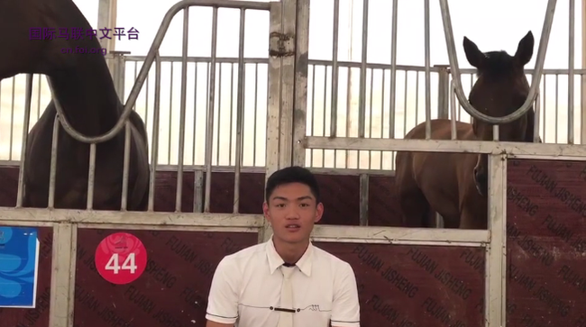 不以成败论英雄 所有参加二青会马术的骑手都