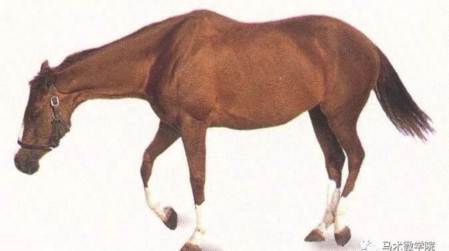 ������Ϊ��������