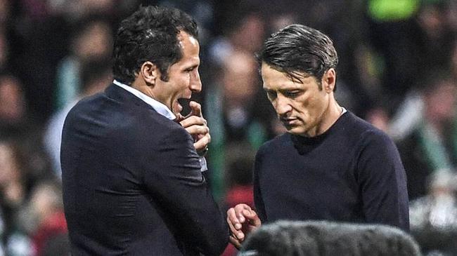 萨利哈米季奇和科瓦奇的槽点颇多