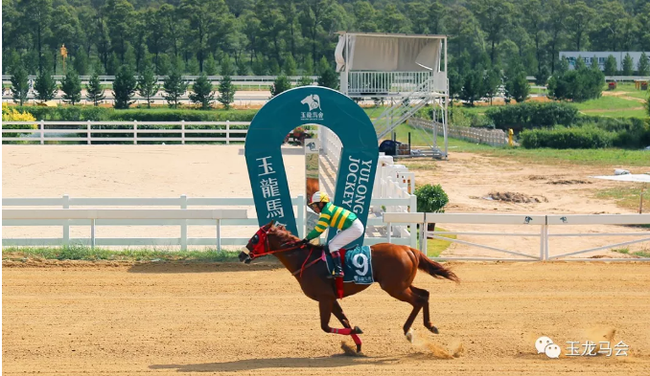 勇强高尔”
