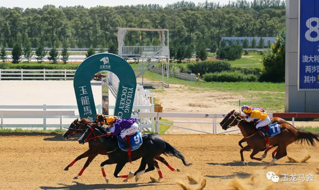 【战报】“战功卓著”成功晋级100万元神奇百万杯