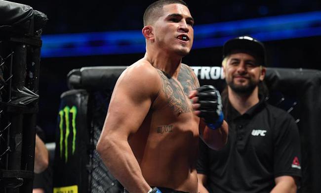 佩提斯将在UFC246中回到轻量级对决费雷拉