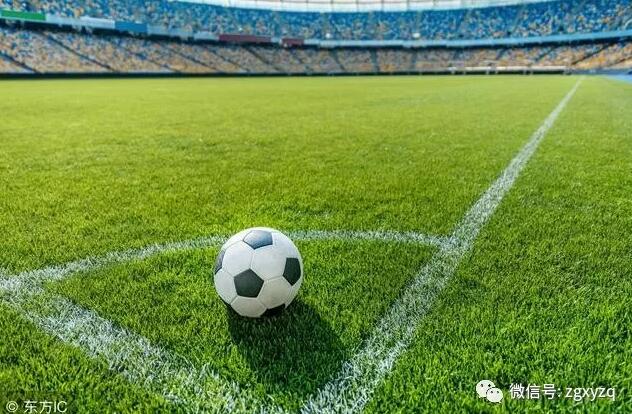 中国校园足球到底存在哪些问题 发展构架已逐