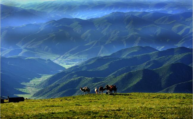 山马辉腾锡勒草原站六月盛夏凉爽约跑