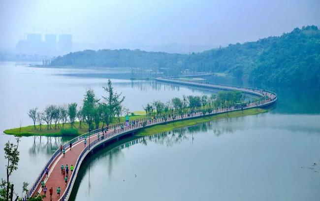 2020天府半程马拉松宣布延期