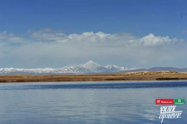 遇见可可西里 这群新时代最勇敢的人