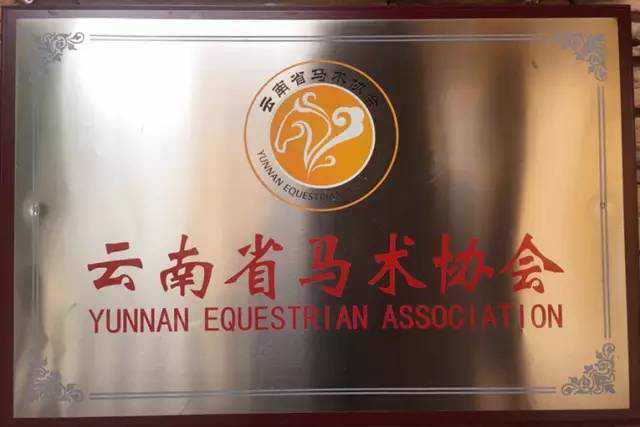 2012年成为中国协会会员