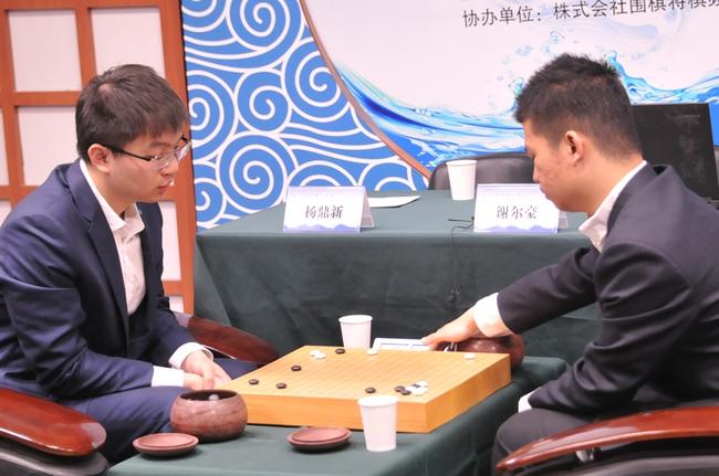 杨鼎新胜谢尔豪