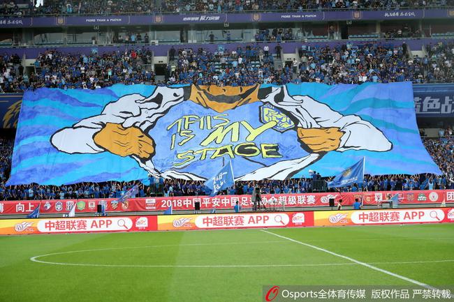 苏宁球迷巨型TIFO