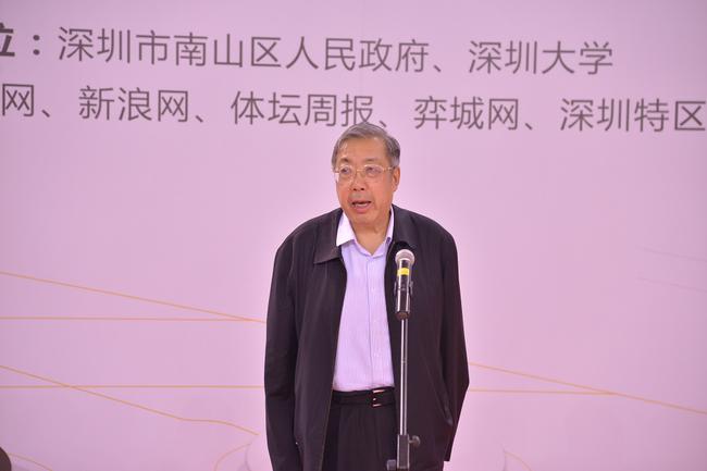 中国围棋协会主席林建超致辞