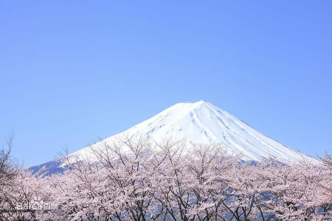 日本富士山