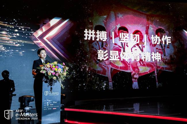 阳光媒体集团董事长 杨澜