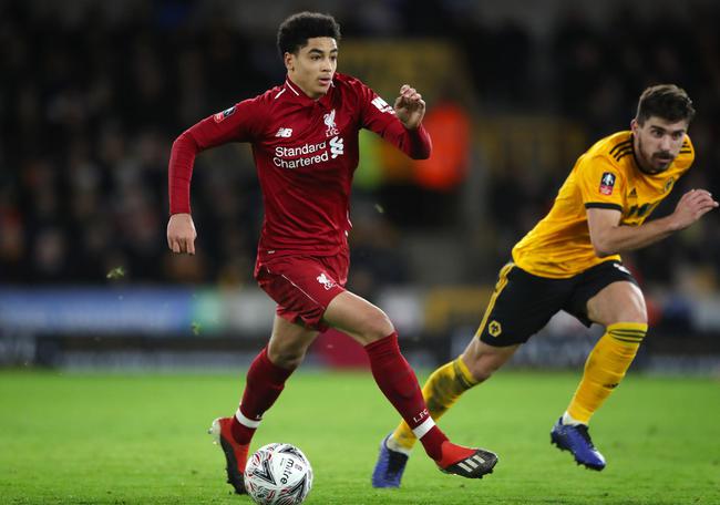 U-17荷兰国脚赫韦尔