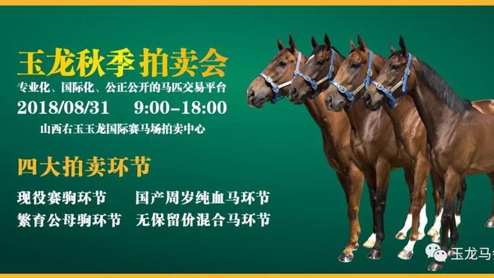 视频回放玉龙秋季拍卖会