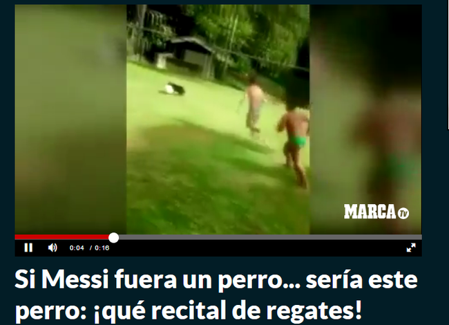 《马卡报》称赞小狗的球技