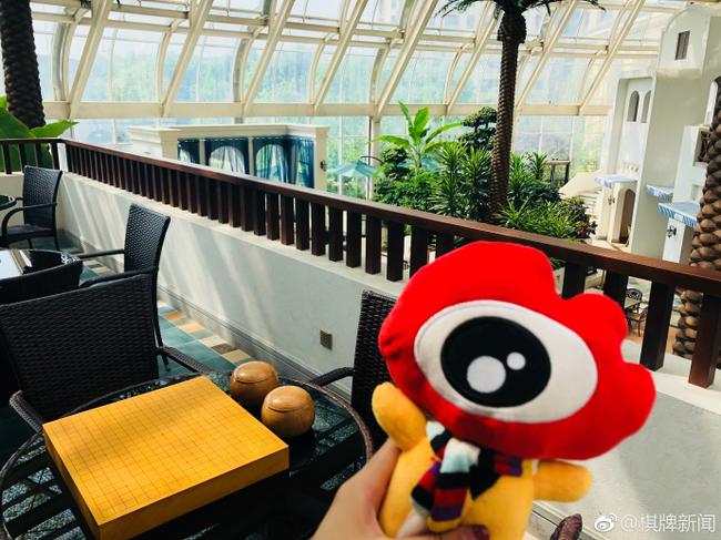 新浪喊你来下棋了