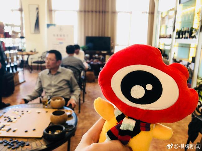完成四项棋选拔赛的小棋手可以获得新浪特色的纪念品