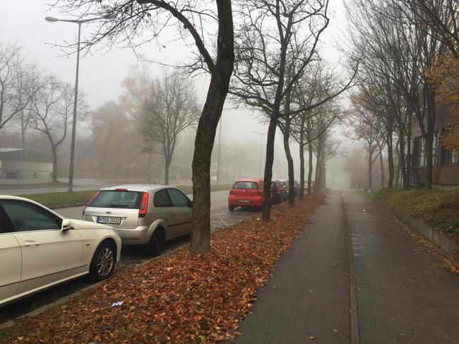 慕尼黑清晨大雾，可空气质量指数显示是15，不是霾，是水汽凝结的纯雾