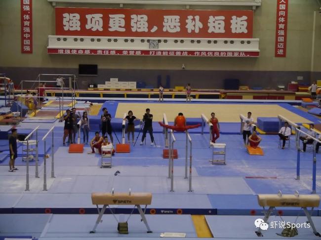 没记错的话,这个背影属于邹敬园