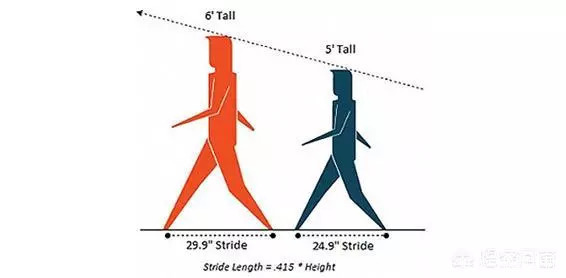 苏炳添感言背后的人种劣势 比博尔特多跑的那7步