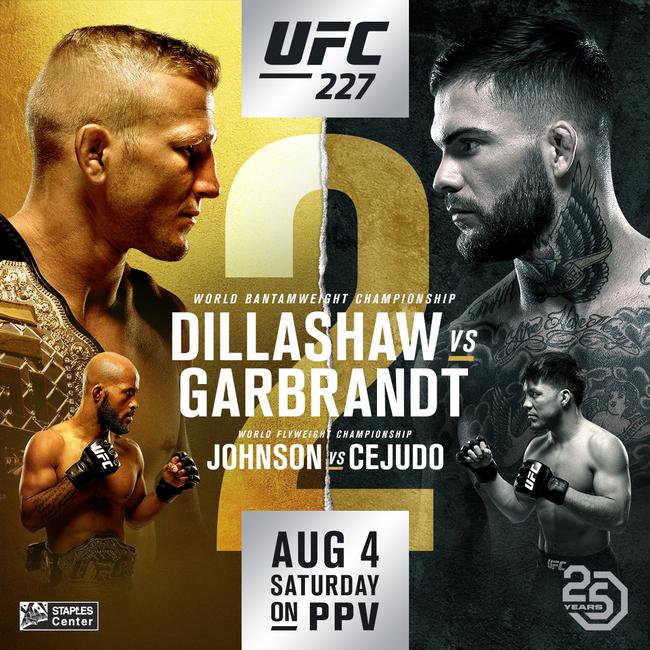 UFC 227 迪拉肖 VS 加布兰特