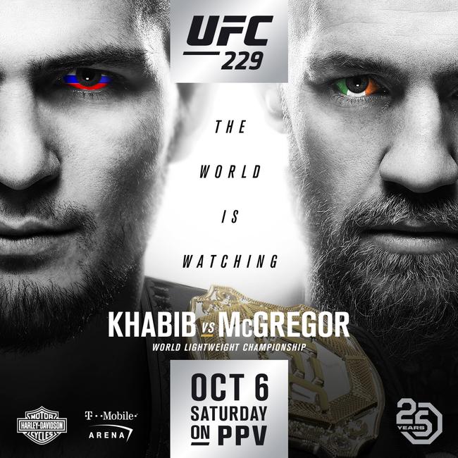 UFC 229 卡比布 VS 麦格雷戈