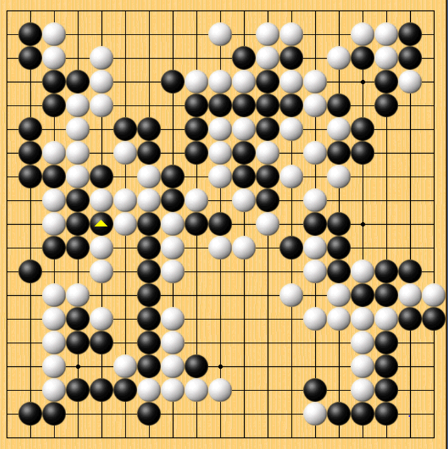 赵晨宇胜谢科