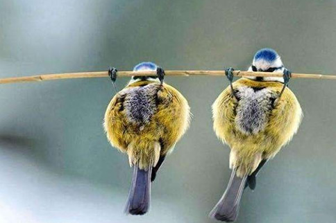 健身为什么离不开引体向上 坚持引体向上的好处