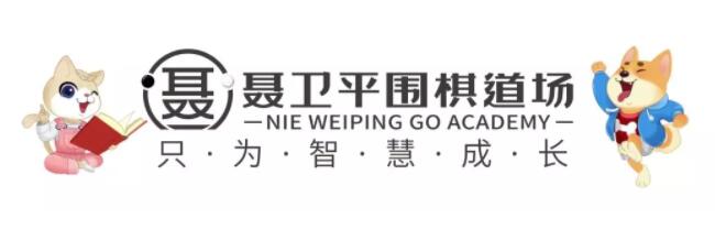 聂卫平围棋道场