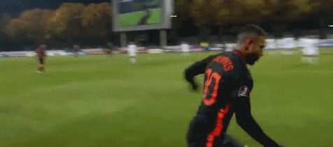 荷兰1-0