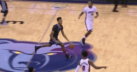 人類蠕動精華凱爾-安德森