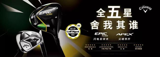 EPIC FLASH 闪电发球木和APEX 19 尖峰铁杆