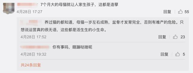 网友评论这么养猫是“造孽”