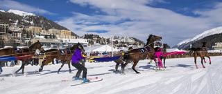 骑手冰湖上驰骋踏马扬雪