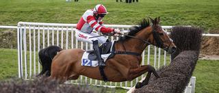 英国国家障碍赛马大赛