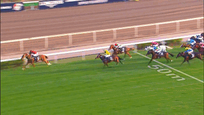 综合新闻 > 正文  父系:"黄金巨匠 夶师"orfevre オルフェーヴル (jpn