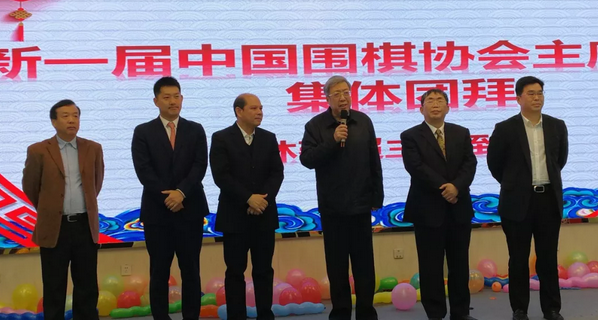 林建超,罗超毅,聂卫平、孙光明、常昊和雷翔等新一届中国围棋协会主席团上台集体团拜