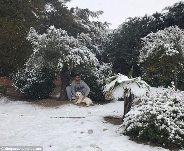 马德里下起了大雪