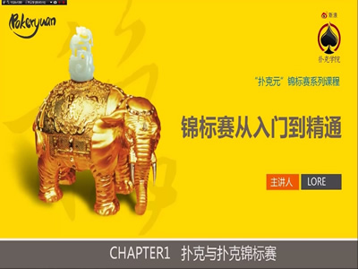 锦标赛从入门到精通