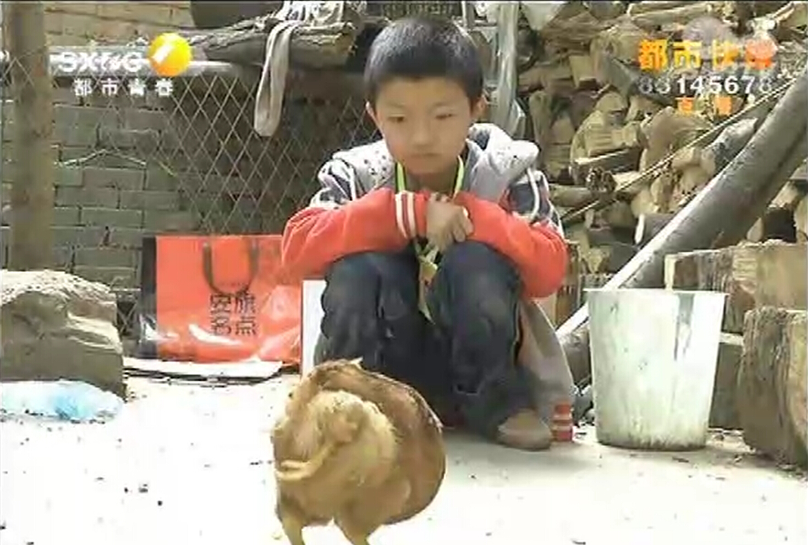 商州區(qū)農(nóng)戶買了只雞 竟是三條腿