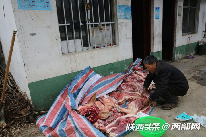 镇坪县有多少人口