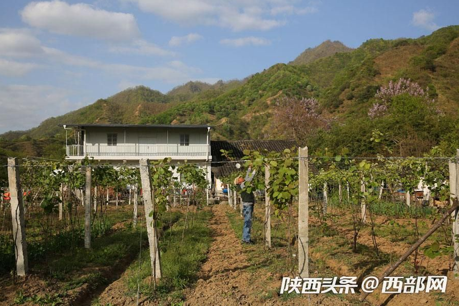 江口有多少人口_美丽大江口 那山,那水,那人(2)